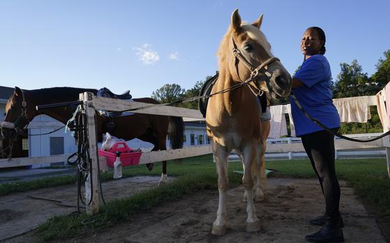 Dionne Williamson Of Patuxent River Md Grooms Woody Before Her